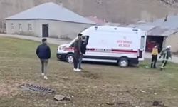 Muradiye-Çaldıran Yolunda kaza