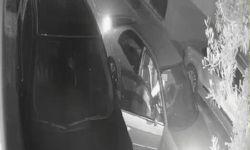 Otomobilden yol kenarına atılan kadının yardım çığlıkları