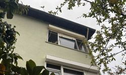 Pencereden bakan ev kedisi itfaiyeyi alarma geçirdi