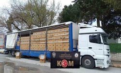 Polis kaçakçılığa izin vermiyor: 8 milyon boş makaron ele geçirildi