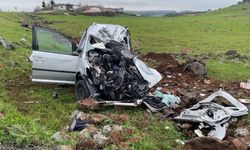 Siverek'te tır ile hafif ticaret aracı çarpıştı: 2 ölü, 1 yaralı