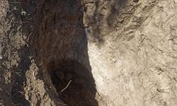 Tekirdağ'da mezarlıkta define aradılar