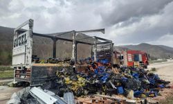 Tokat'ta çilek yüklü kamyon yandı