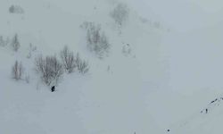 Uzman ekipten çığ bölgesinde inceleme: 95 gündür kayıp çoban için arama şartları oluşmadı