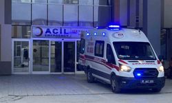 Van'da köpeklerin saldırdığı 5 yaşındaki çocuk hayatını kaybetti