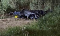 'Yan bakma' kavgasında 1 kişi öldü, 1 şahıs yaralandı