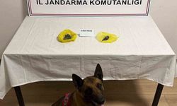 Yol kontrolünde uyuşturucu yakalandı