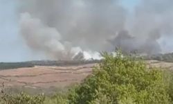 Ormanlık alanda yangın