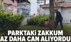 Bursa'da Parktaki Zakkum Az Daha Can Alıyordu