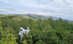 Doğanın sessiz kahramanları görev başında