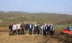 Bursa'da atıl araziler bereketleniyor