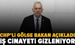 Kayıhan Pala: “İş cinayetlerinde gerçek veriler gizleniyor!”