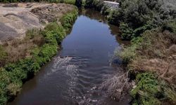 CHP’li Pala’dan Nilüfer Çayı uyarısı: “Çevre Bakanlığı çağrıları dikkate almıyor!”