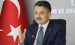 Eski Tarım Bakanı Pakdemirli BİM’e atandı