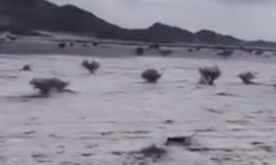 Çöller dolu yağışıyla beyaza büründü