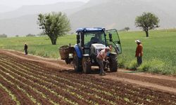 Çiftçilere tarımsal destekleme ödemesi bugün yapılacak