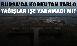 İznik Gölü'nde su çekilmesi alarm veriyor...İskele karada kaldı