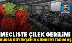 Mecliste çilek gerilimi: karşılıklı suçlamalar gündemi sarstı