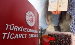 Zeytinin tanesi 50 TL