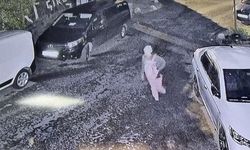 Genç Doktorun Şüpheli Düşüşü!