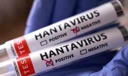 İngiliz ordusundan 'acil' kodlu Hantavirüs operasyonu