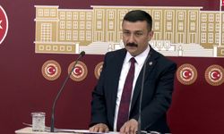 Selçuk Türkoğlu İznik Işıkları’nı Meclis’e Taşıdı!