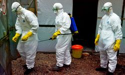 Aşısı olmayan 'nadir' ebola varyantı geri döndü