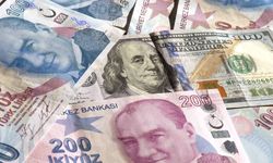 Dolar/TL'de tüm zamanların rekoru