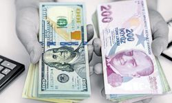 Dolar rekor kırdı!