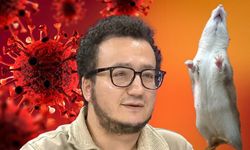 Çarpıcı hantavirüs açıklaması