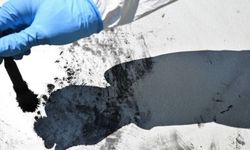 Çağla Tuğaltay cinayetinde kritik gelişmeler yaşanıyor