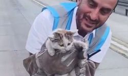 İETT ekiplerinden yavru kedi mesaisi
