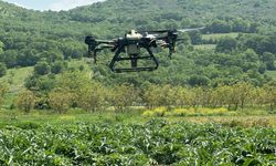 Bursa'da çiftçiye drone desteği