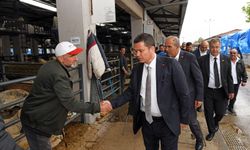 Kurban satış ve kesim alanları bayrama hazır