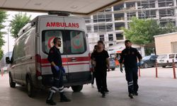 Bursa'da meyve keserken hastanelik oldu