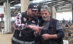Bursa kurban pazarında güldüren anlar