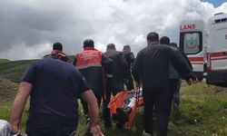 Mantar toplamaya gitti: Ayıyla boğuştu