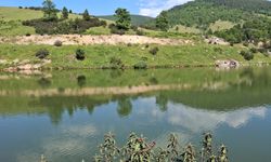 Bursa'da arkadaşlarıyla girdiği gölette can verdi
