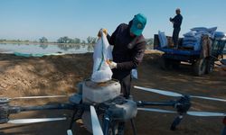 Çeltik ekiminde drone dönemi