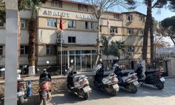 Alaşehir'de 21 kök kenevir ele geçirildi