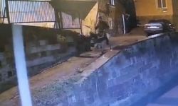 Altınları çalıp eşekle kaçan sanığa 9 yıl 7 ay hapis cezası