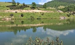 Arkadaşlarıyla girdiği gölette can verdi