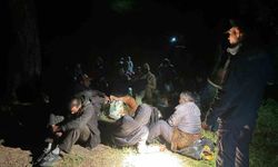 Balıkesir'de 29 düzensiz göçmen yakalandı