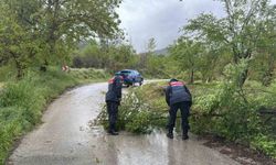 Bilecik'te aşırı yağış ulaşımı da olumsuz etkiliyor