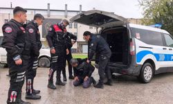 Ehliyetsiz sürücü zorluk çıkarınca biber gazı yedi