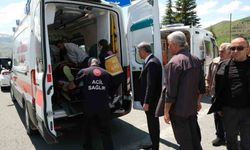 Elazığ'da otomobil aydınlatma direğine çarptı: 1'i bebek 4 yaralı