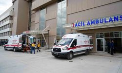 Erzincan'da doktor evinde ölü bulundu