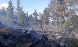 Hatay'da ormanı yangını çıktı