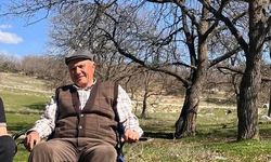 Hayvanlarını otlatırken üstüne yıldırım düştü