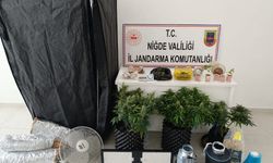 İklimlendirme sistemiyle yasa dışı ekim yapan 4 şüpheli gözaltına alındı